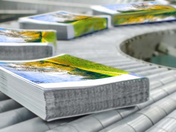 上海草莓视频污版下载廠家